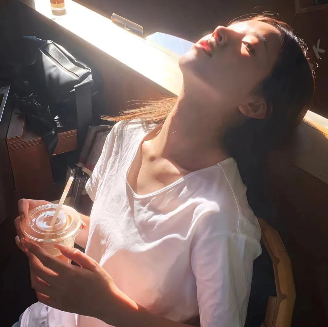 蜘蛛网